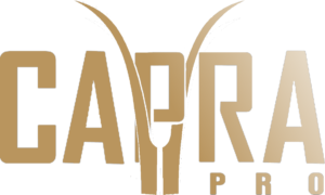 CapraPro Logo with Bicycle Wheel within the P