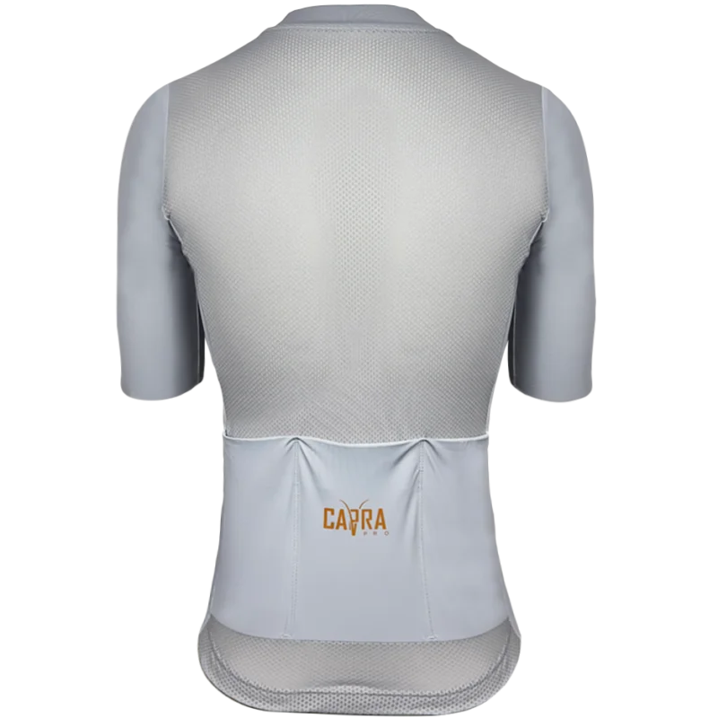 Capra Aero Silver Men's Cycling Jersey Back